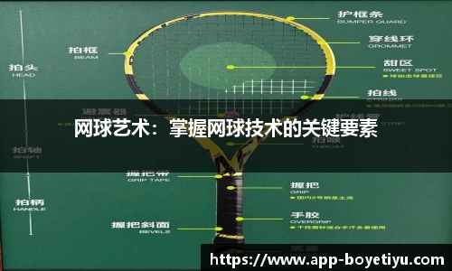 博业体育